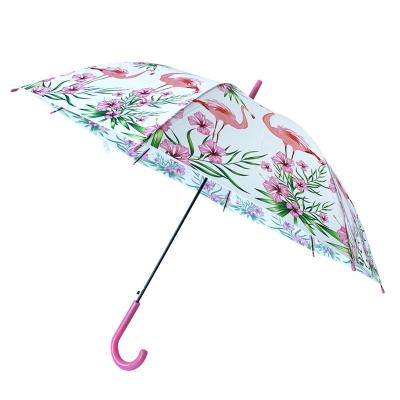 China Flamingo Printing New Transparent Umbrella YS-1068 Custom Animal Printing Flamingo POE Eco-friendly Automatic Umbrella for sale