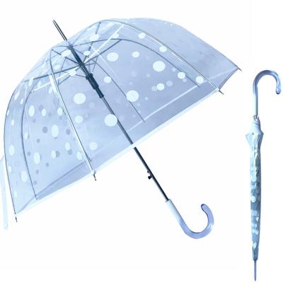 China Eco-friendly Transparent Bubble Dots Auto Open POE Polka Dots YS-1076 Stick Dome White Umbrella Polka Dot Transparent Umbrella For Lady for sale