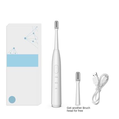 China Best Quality Battery Operated Sonic Electric Toothbrush Aldults Electric Commercial Waterproof Toothbrush for sale