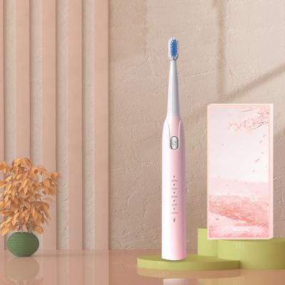 China New Carry Travel Waterproof Electric Toothbrush Battery Operated Portable Ultrasonic Wave Easy Filling Electric Toothbrush for sale