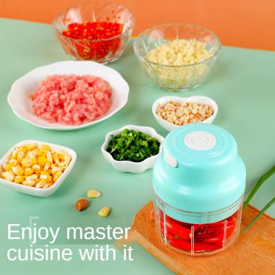 China New Hotel High Quality Manual Usb Charging Promoted Beater Rustproof Durable Silent Mini Garlic Electric Garlic Chopper for sale