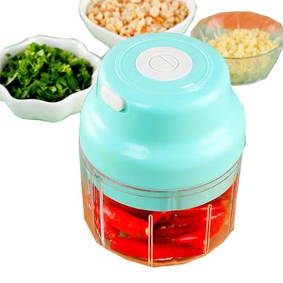 China Hot Selling Hotel Kitchen Multifunctional Wireless Portable Home Appliances Electric Garlic Blender for sale