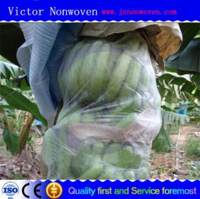 China Anti UV Anti-bacteria 3% White Nonwoven Fabric For Plant Cover for sale