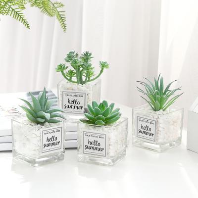 China Creative stone house mini plant glass bottle plant simulation desktop gardening decoration potted succulent Nordic environmental friendly green plants for sale