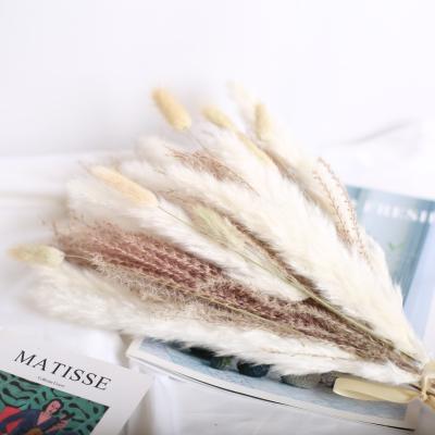 China Best Selling Fashional Amazon Natural Dry Flowers 45cm Pampas Grass Bouquet Wedding Bouquet for sale