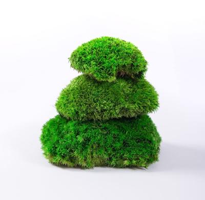 China LD Factory Eco-friendly Wholesale Moss Wall Panel /Box Preserved Flowers Preserved Moss For Wall Decoration for sale