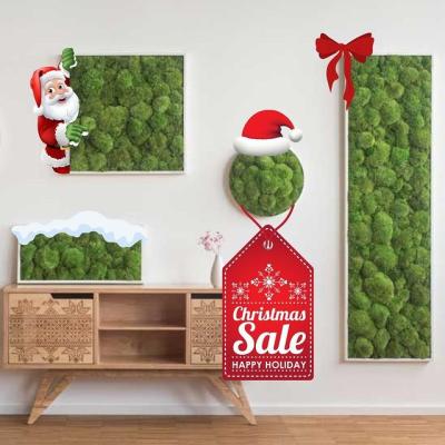 China Wholesale Natural Eco-friendly Environmental Protection Green Stabilized Preserved Living Pole Moss For Home Decoration for sale