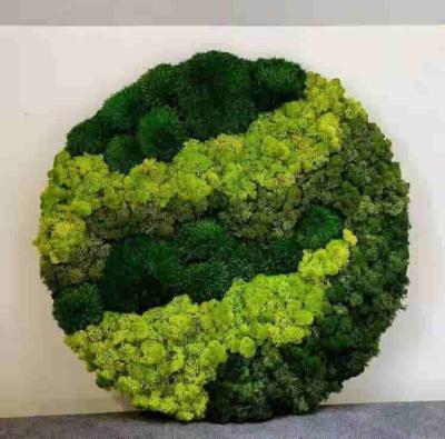 China Wholesale High Quality Luxury Flower Wall Decorative Flowers Preserved Moss As Wall Decoration for sale