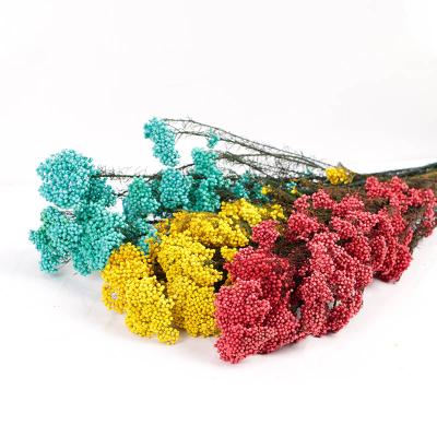 China Wholesale Cheap Decoration Flower Bouquet Rice Dried Flower Dried Flower For For Coffee Table Decoration for sale