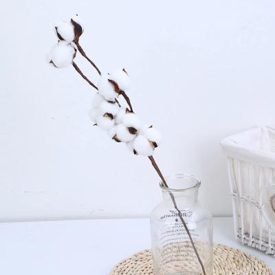 China Hot Selling Decorative Yunnan Cotton Ball Dried Flowers Branch For Wedding&Home Decoration for sale