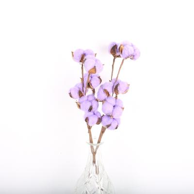 China Decoration customization high quality colors preserved dry cotton flower with cotton stem branch for sale