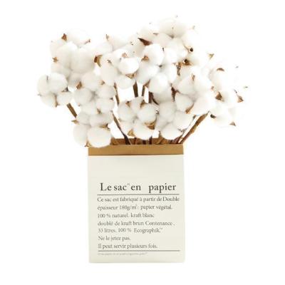 China Decoration customization colors dried natural cotton swab flower branches for sale