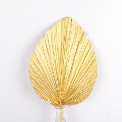 China Events Decoration Amazon Palm Leaves Decor Hot Selling Dry Golden Parties Decoration Made by High Quality Palm Leaves for sale