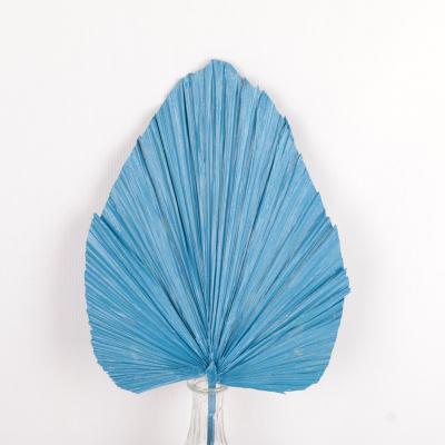 China Events Decoration Decorative Natural Dry Palm Leaves For Nordic Home&Wedding Decoration Made By High Quality Leaves for sale