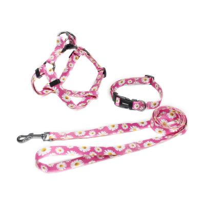 China Personalized Pet Leash Chest Back Custom Designed Type Dog Harness & Leash Pet Vest Collars & Pet Leashes for sale