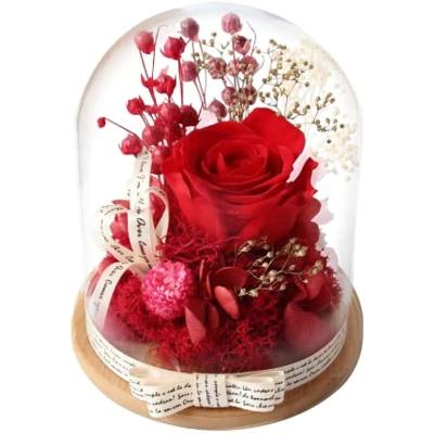 China Green Environmental Protection Artificial Flower Genuine Rose Gift Decorations Preserved Forever Rose Glass Dome for Her Valentines Day Gift for sale