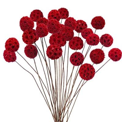 China Natural Touch Dried Craspedia Billy Balls Flowers Red Billy Buttons Floral Bouquet for Centerpiece Flower Christmas Vase Party Decor for sale