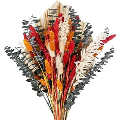 China Natural Touch Natural Dried Flower Bouquet Dried Eucalyptus Bundle Dried Palm Leaves and Bunny Tails for Christmas Centerpiece Flower for sale