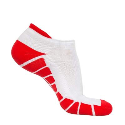 China Breathable Marathon Sport Long Distance Socks , No-Show Hidden Comfort Running Socks for sale