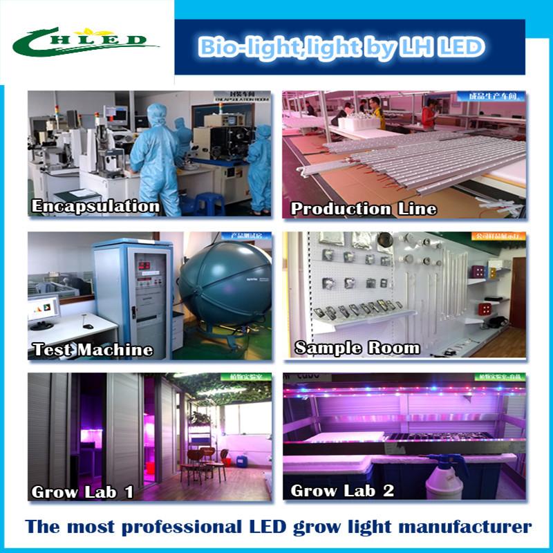 Verified China supplier - Shenzhen Lv Heng LED Technology Co.,Ltd