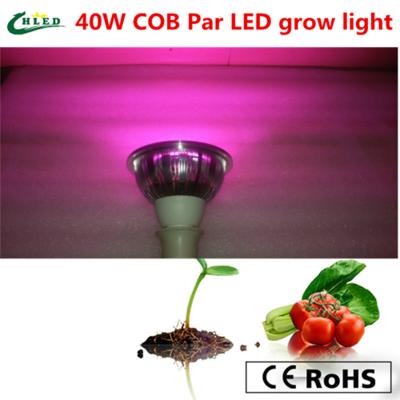 China 40w cob full spectrum 380-840nm led plant grow lights reflector cup  Par for sale