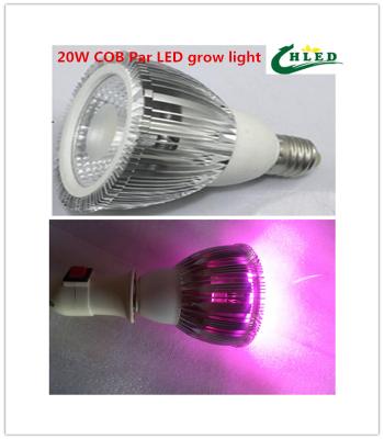 China cob led grow light E27 par 20W/30W/40W  full spectrum 380-840nm  Plant growth lamp Indoor planting flowers and plants gr for sale