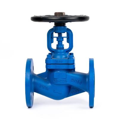 China General DIN Standard GS-C25 Flanged Globe Valve PN16 for sale