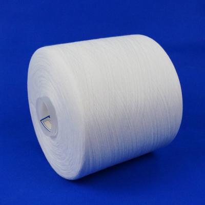 China 100% High Tenacity 50/2 Polyester Optic White Spun Sewing Thread for sale