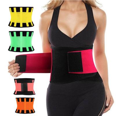 China LOGO Adjustable Womens Body Shaper Waist Trimmer Shapewear Elastic Back Brace Universal Custom Made Corset Slimming Waist Trainer for sale