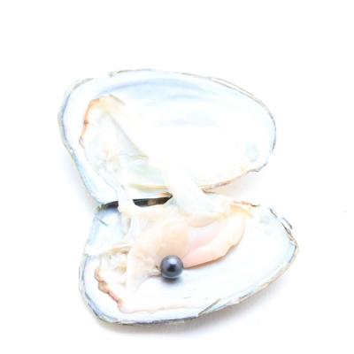 China Jewelry Making Love Wish Pearl Party Amazing Gift 9-11mm Vacuum Packed Edison Cultured Oyster Shell Freshwater Pearl Loose for sale