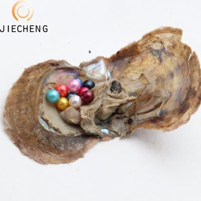 China Jewelry Making 6-8mm Vacuum Pack Wholesale Colorful Akoya Pearl Oyster 10pc Volume Love Wish Freshwater Cultured Pearl Oyster for sale