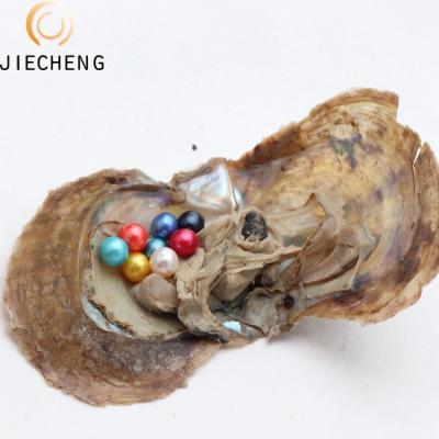 China Jewelry Making 6-7mm Wholesale Bulk Colors Saltwater Vacuum Packed Mixed Akoya Round Pearl Oysters With Pearl for sale