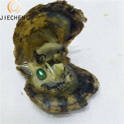 China Jewelry Making 6-8mm Akoya Pearl Oyster One Shell Wholesale Green Pearl Oyster for sale