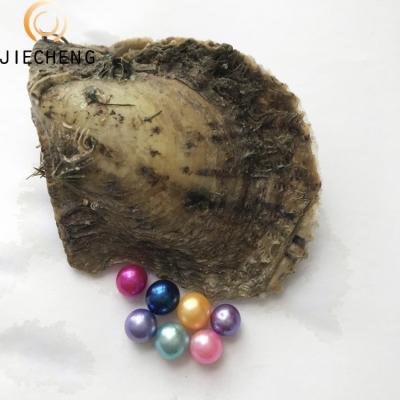 China Jewelry Making 6-7mm AAA Saltwater Round Pearl Oysters With Akoya Pearls for sale