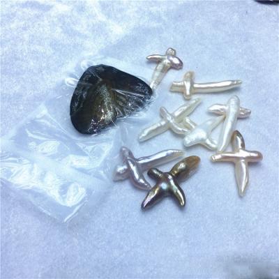 China Wholesale Pearl Oyster Jewelry Making Aquaculture Cross Shape Pearls In Oyster Shell for sale