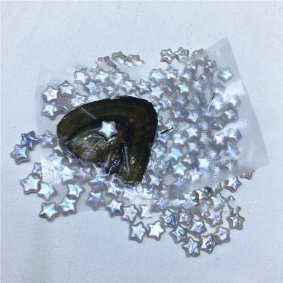 China Jewelry Making Wholesale 9-11mm AAA Star Shape Natural Baroque Pearl Oyster Shells In Vacuum Packed Freshwater Oysters for sale