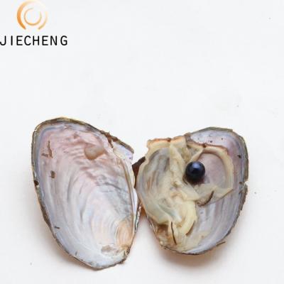 China Jewelry Making Discount Price Near Wish Freshwater Live Gift Natural Cultured Loose Pearl Wholesale Pearl Oysters Round for sale