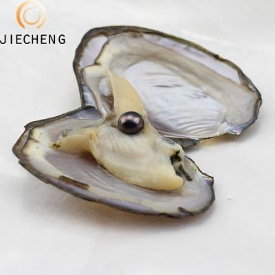 China Jewelry Making 7-8mm Wholesale Wish Pearls Wholesale Love Pearl Gift In Oyster Shell for sale