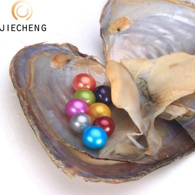 China Jewelry Making 6-8mm Wholesale Wish Oyster Almost Round Pearl Oysters With Wish Pearls Inside for sale