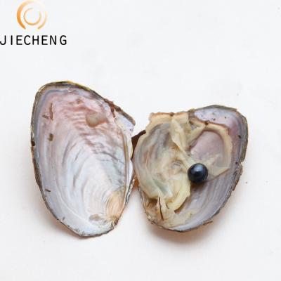 China Jewelry Making Lowest Price Natural 6-8mm AAA Near Round Vacuum Packing Wholesale Black Oyster Freshwater Pearl With Pearl Bulk for sale