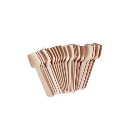 China Disposable Eco Friendly Stocked Biodegradable wooden tea scoop coffee scoop and bag clip for sale