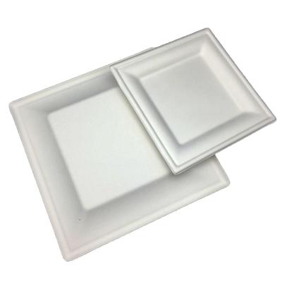 China Eco-friendly white color sugarcane fiber plant paper square disposable dish made of sugarcane basting for sale