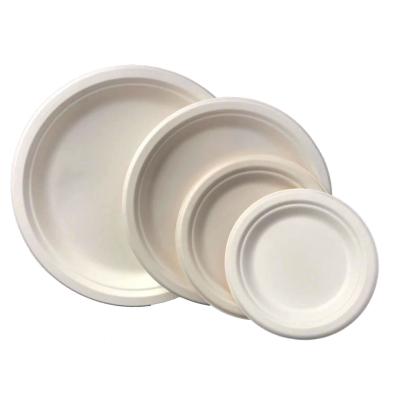 China Eco-Friendly Fiber White Color Sugarcane Fiber Factory Disposable Paper Plates Set For Party for sale