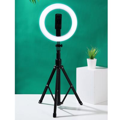 China Wholesale Tempurate Adjustable TECHNOLOGY Color Studio Light for Photography 8inch Dimmable Wireless Remote Control Selfie Ring Light for sale