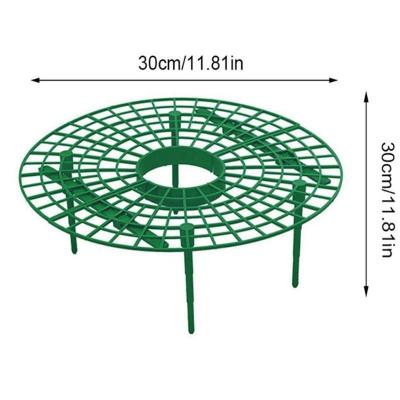 China Keep Strawberries off rot Strawberry Plant Support Stand, Adjustable Strawberry Growing Racks Frame, Keeping Fruit Elevated to Avoid Ground Rot for sale