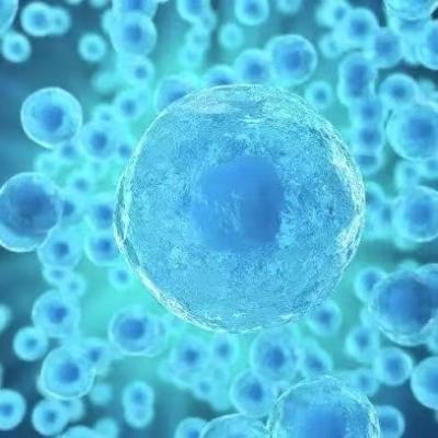 China Aesthetic Use Exosome FDA Approved High Viability Skin Cell Compatible for sale