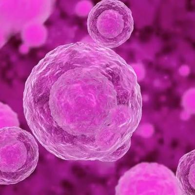 China Cell Preservation Solution Medical FDA Approved Exosomes For Skin Cell Storage / Cosmetic R&D Keeps Cells Active & Stable for sale