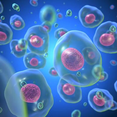 China High-Quality Cell Preservation Solution FDA Approved Exosomes Clear Liquid Sterile & Non-Toxic For Clinical Sample Collection , Scientific Cell Cryopreservation & Transportation for sale