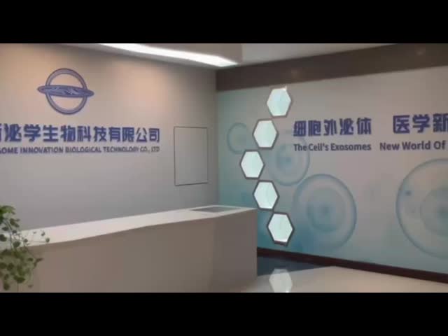 Company video