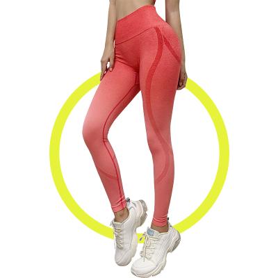 China Wholesale Womens Breathable Seamless High Waisted Workout Tights Gym Yoga Pants Tummy Control Sports Compression 2021 for sale